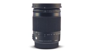 Best superzoom lens for Nikon: Sigma 18-300mm f/3.5-6.3 DC Macro OS HSM | C