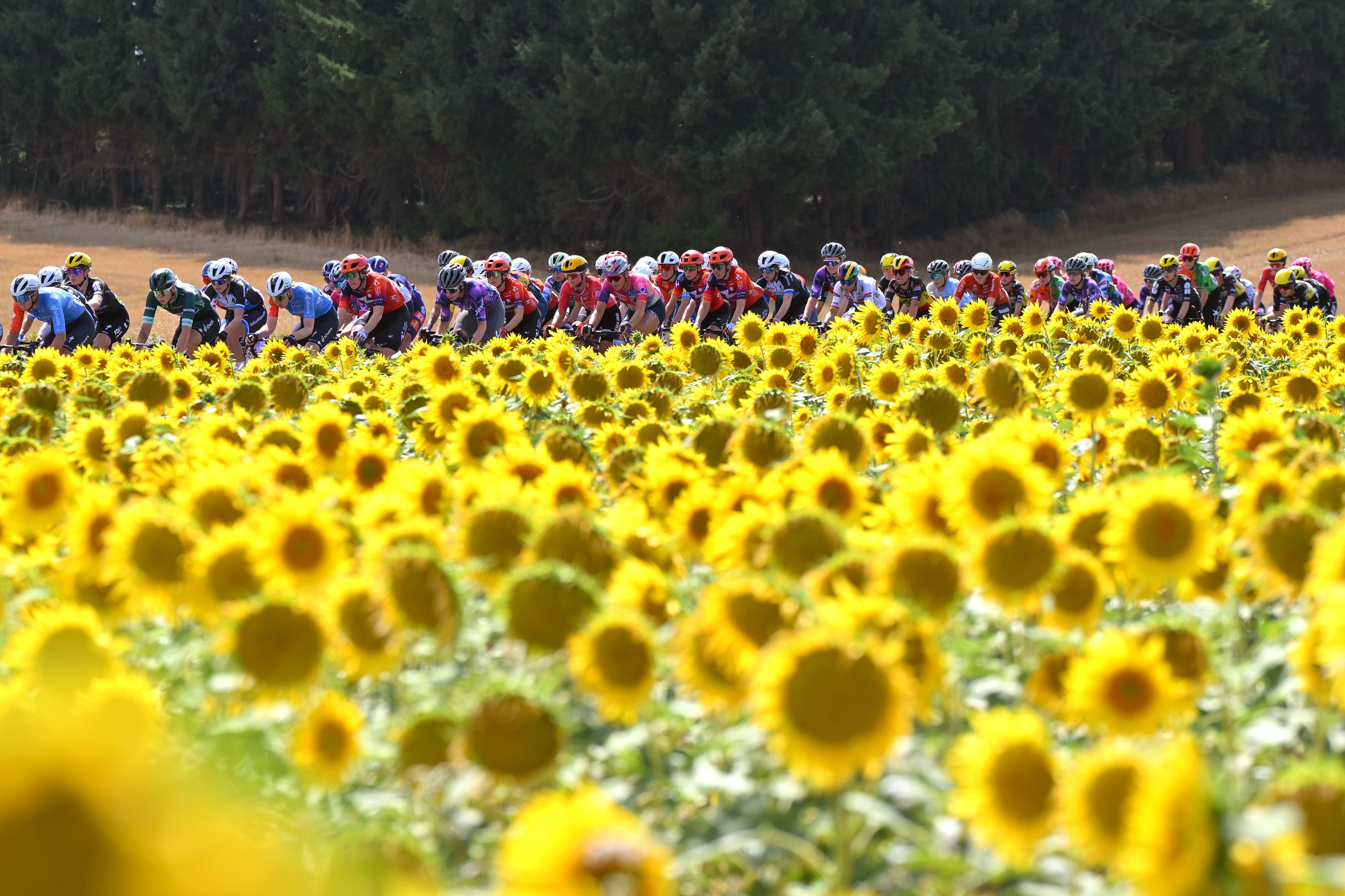 Tour de France Femmes stage 5 LIVE - Movistar turn the screw as gap to break plummets