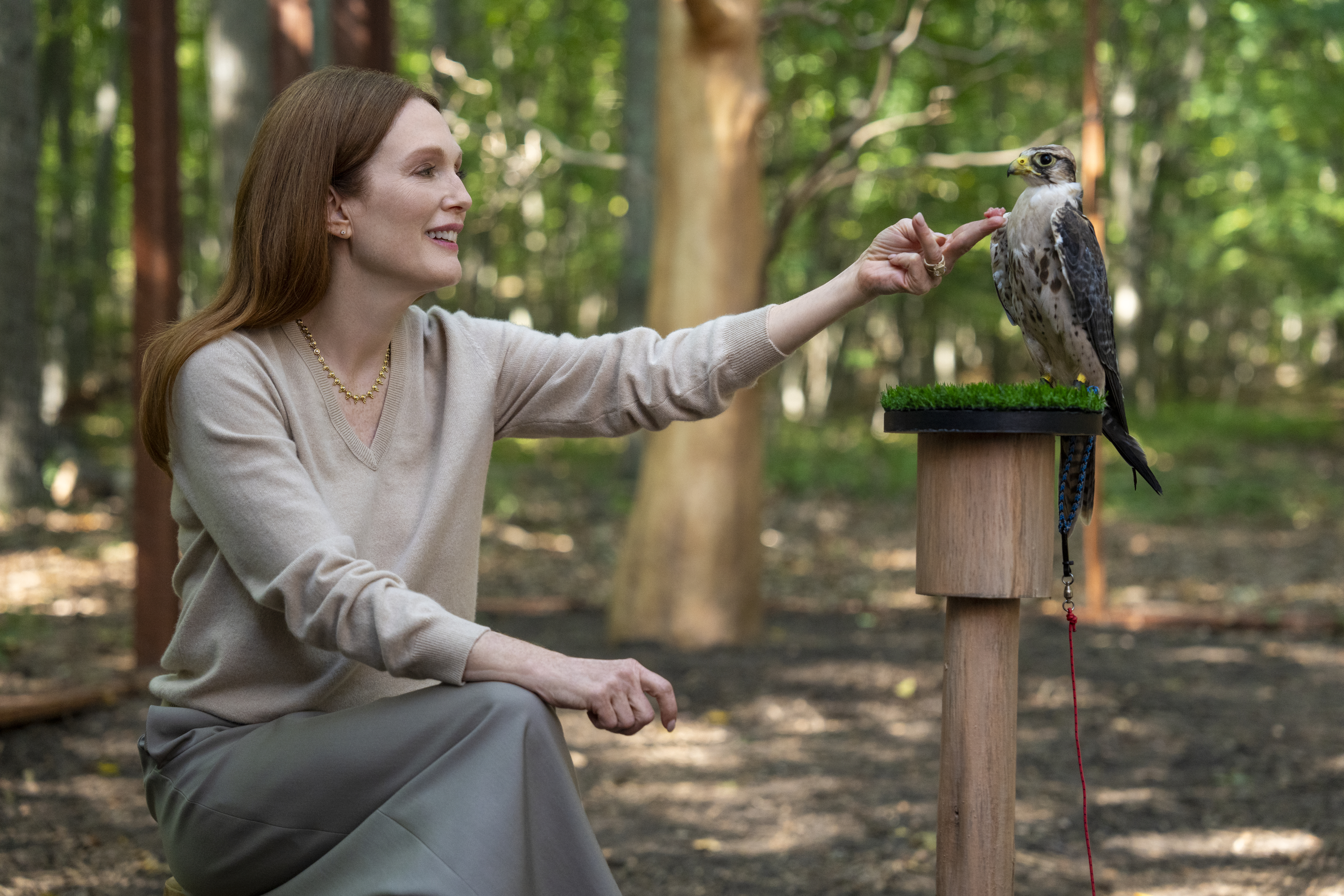 A woman (Julianne Moore) feeds a bird sitting on a wooden structure, in episode 104 of Sirens.