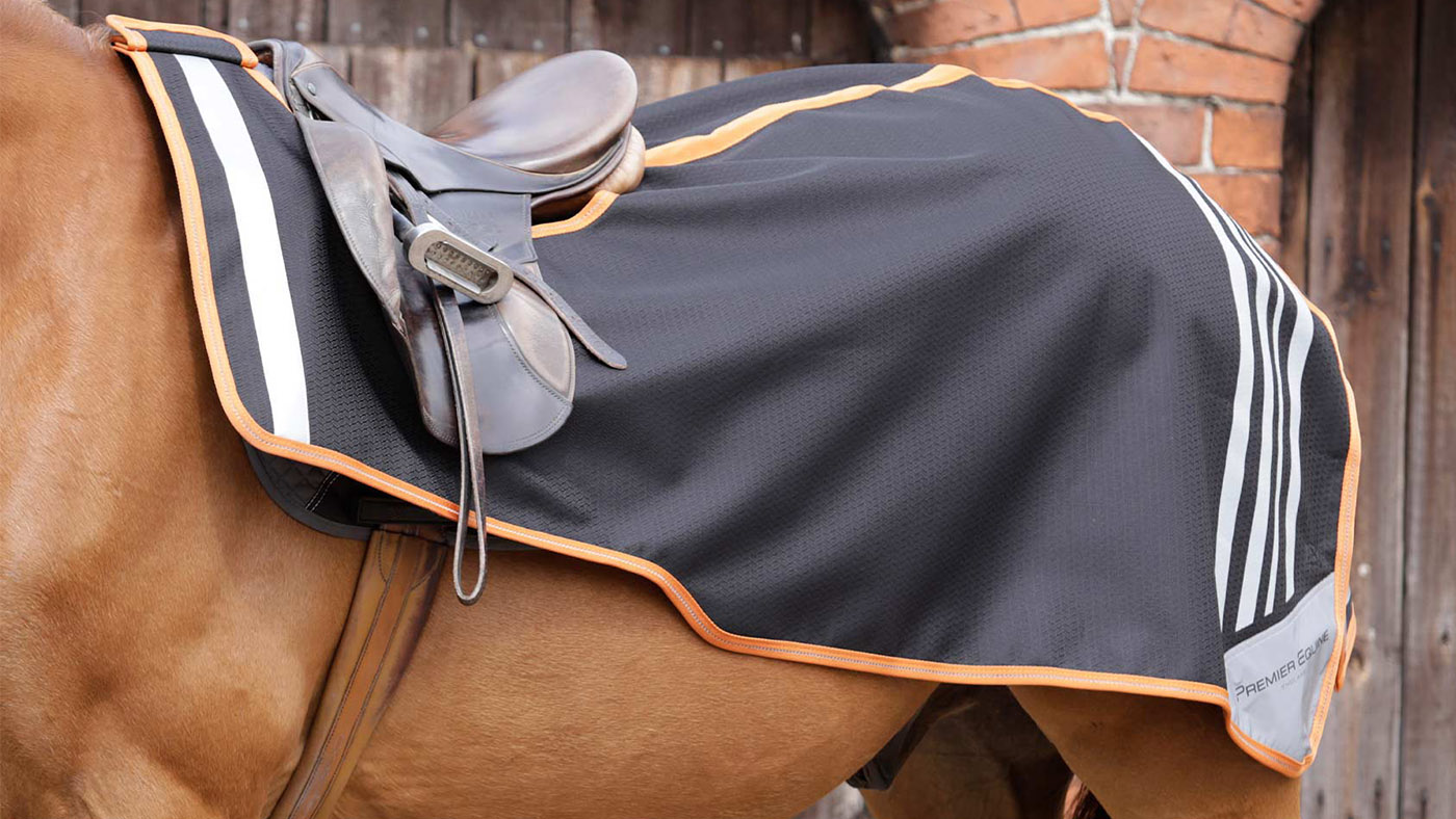 Premier Equine Stratus exercise sheet