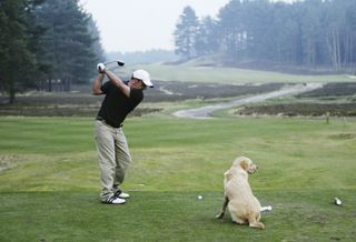 Paul McGinley with his dog at Sunningdale Golf Club