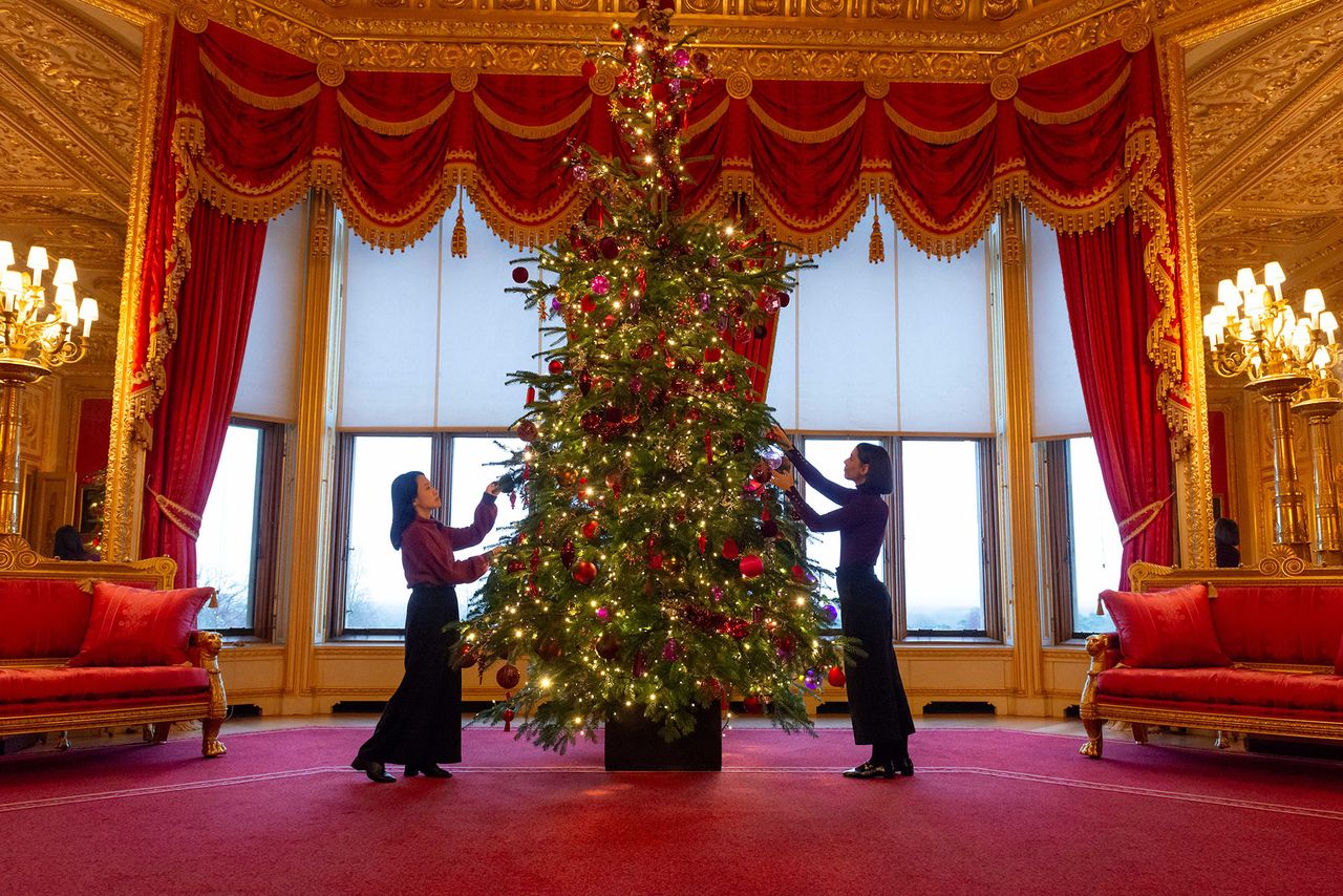 The 15-foot-high Nordmann Fir Christmas tree in the Crimson Drawing Room at Windsor Castle in November 2024.