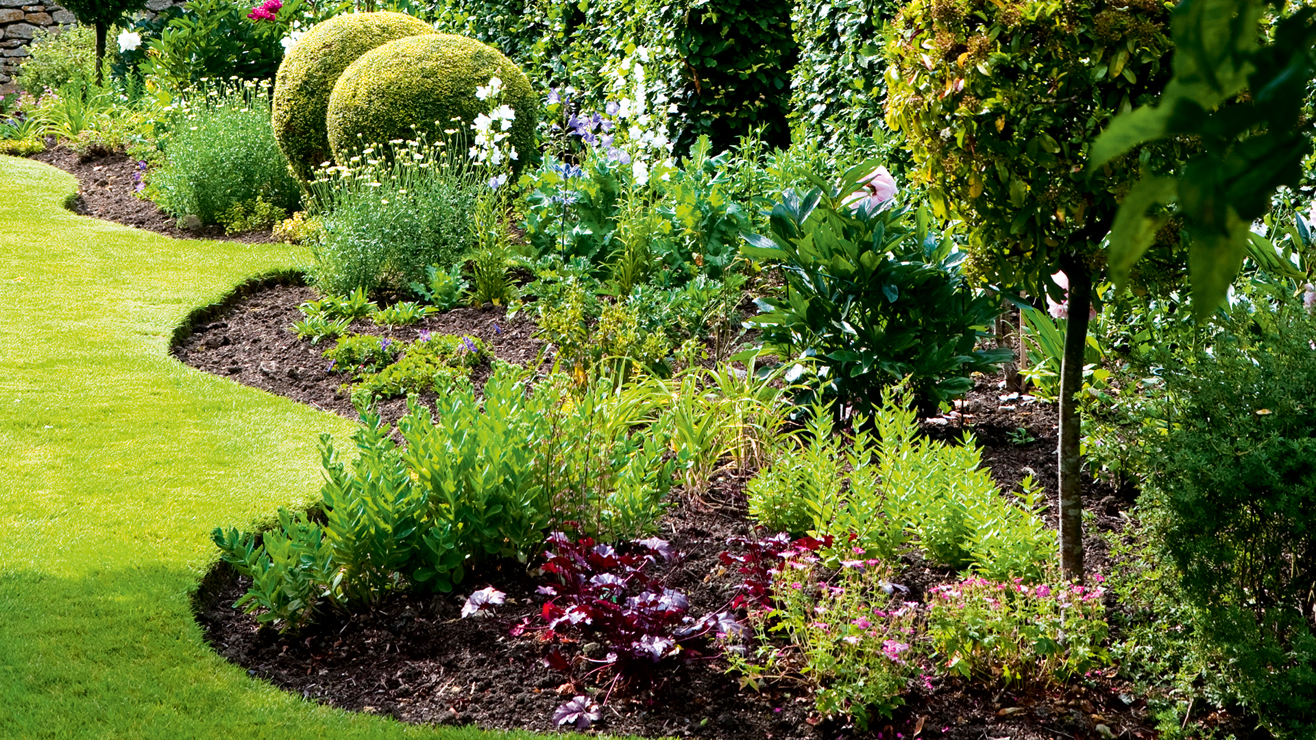 Landscaped flower beds with shaped topiary trees
