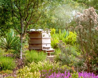 beehive among the plants in a summer garden