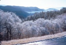 Great Smoky Mountains National Park