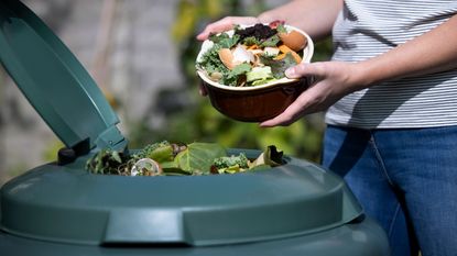 person emptying food waste into a green plastic compost bin