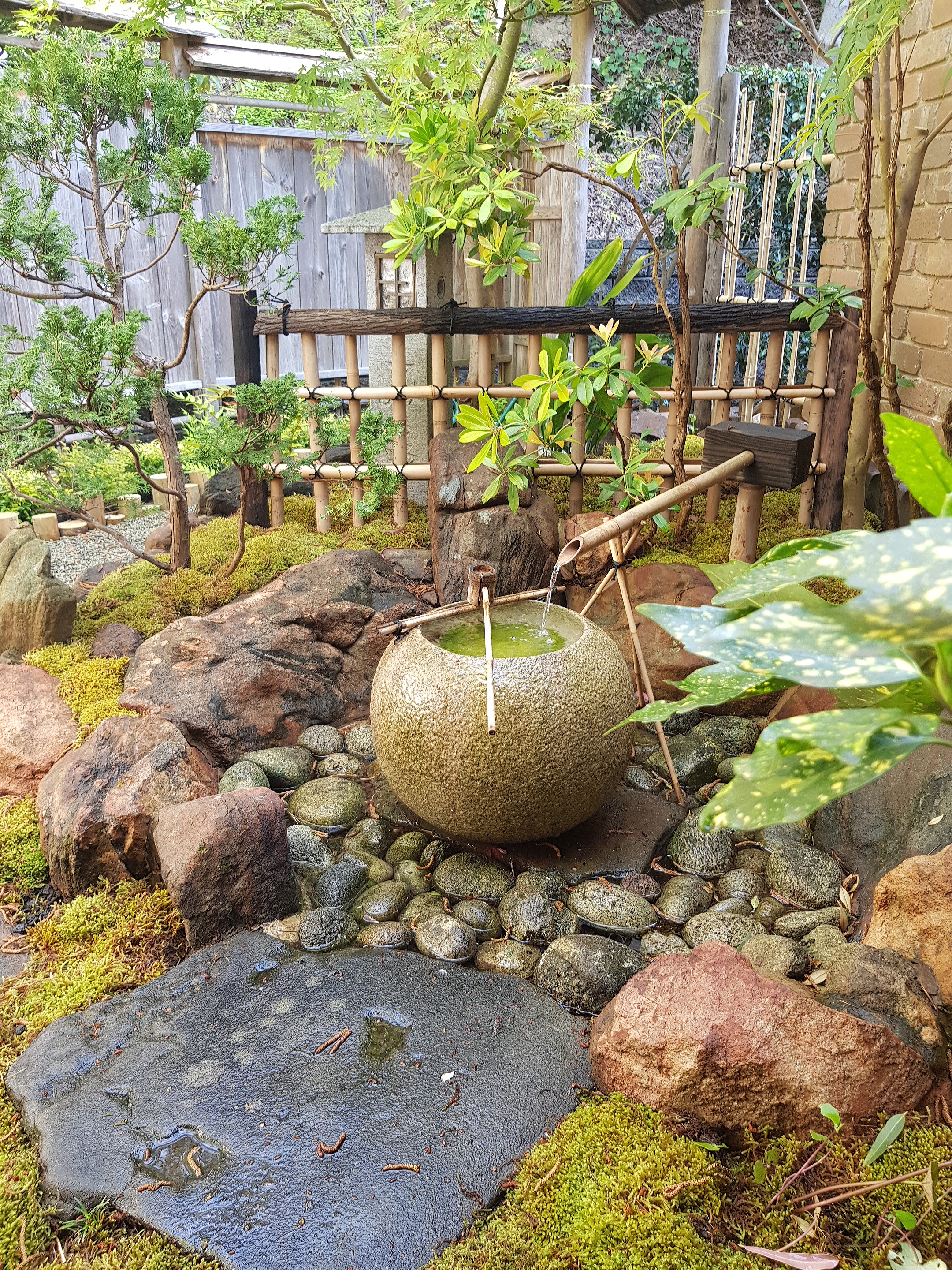 small rock water feature in a Japanese garden with a bamboo shoot