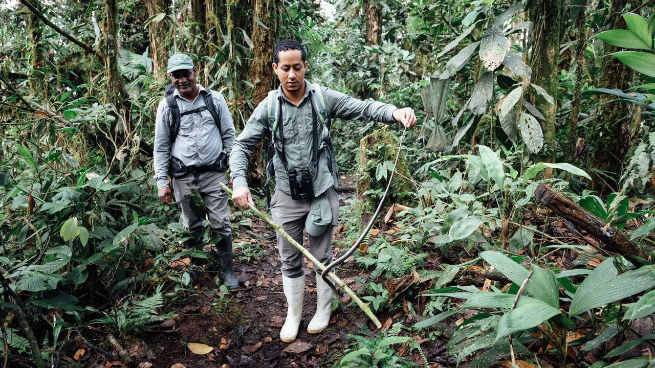 Mashpi Lodge, Ecuador