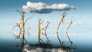 International Photography Awards winners announced