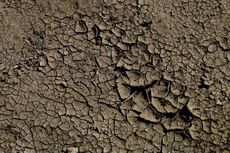 natural disasters, fatalities, death, destruction