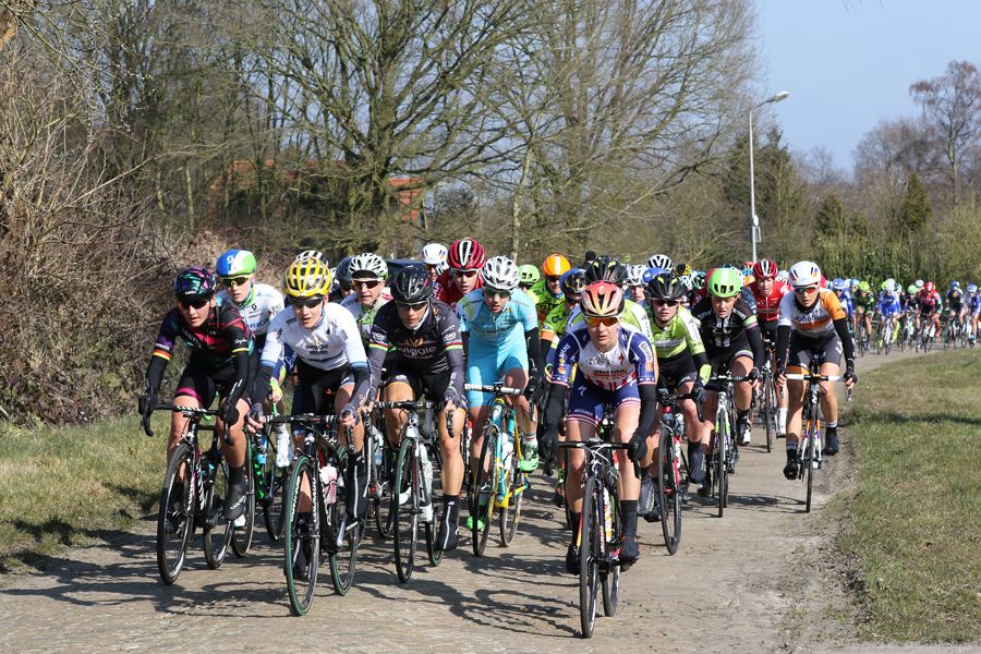 The peloton in action during Drentse Acht van Westerveld