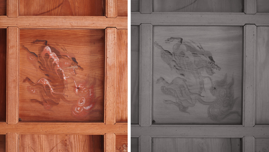 The OM System OM-1 Mark II IR is a camera used for infrared photography