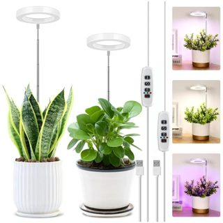 A set of grow lights for houseplants