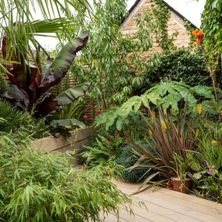 Tropical flower beds overflowing onto wooden decking in a lush garden