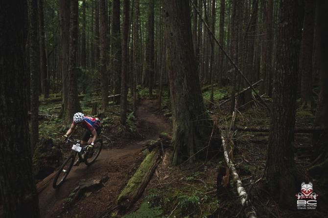 Cutting ribbons in the woods.