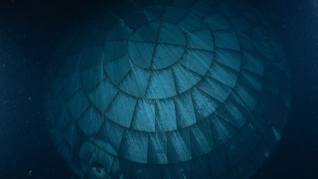 A close up of a circular heat shield made of interlocking rectangular components seen underwater.