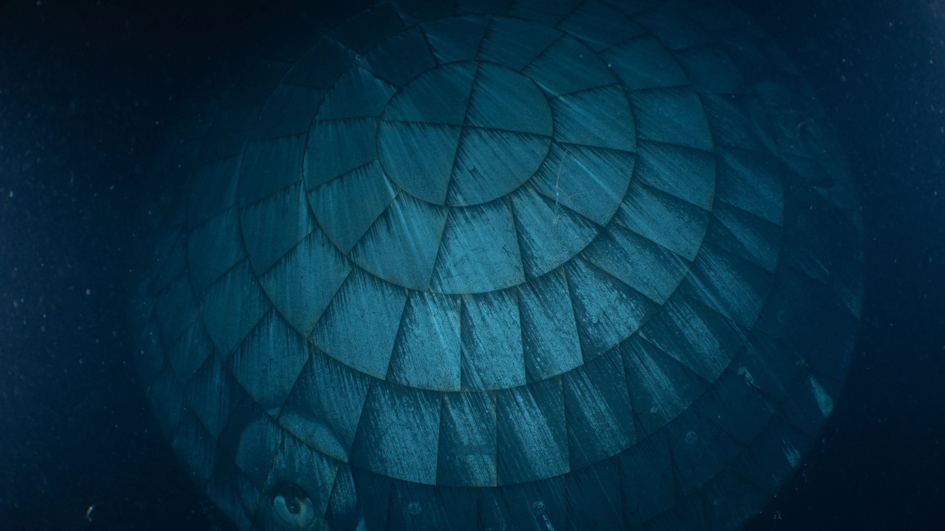 A close up of a circular heat shield made of interlocking rectangular components seen underwater.