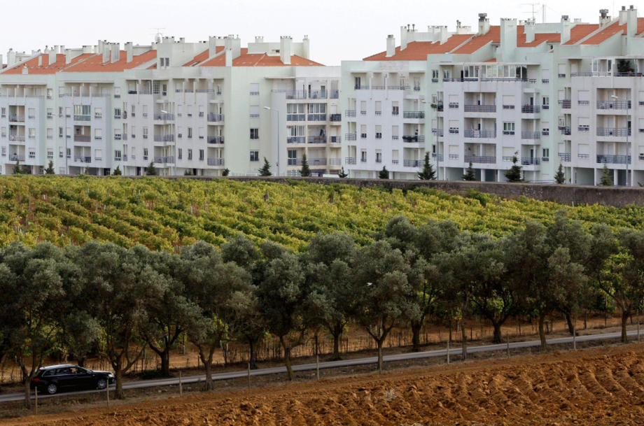 Carcavelos_vineyards_buildings_2P9H3DF_Alamy-920x609.png