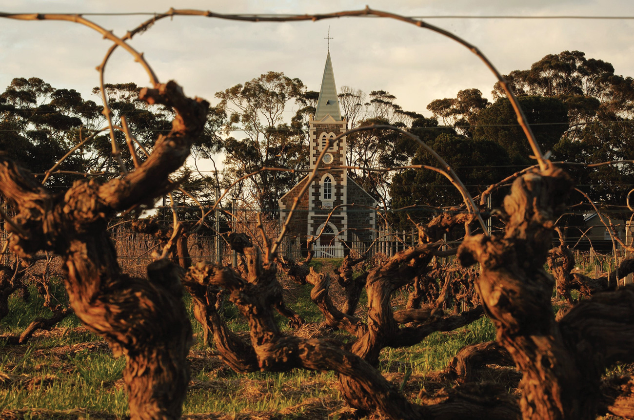 Henschke Hill of Grace Vineyard with Gdnaden