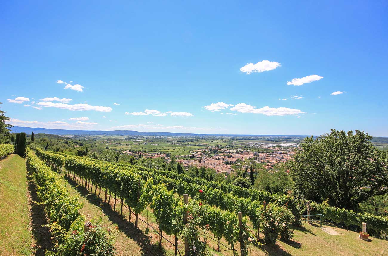 Friuli vineyard estate for sale