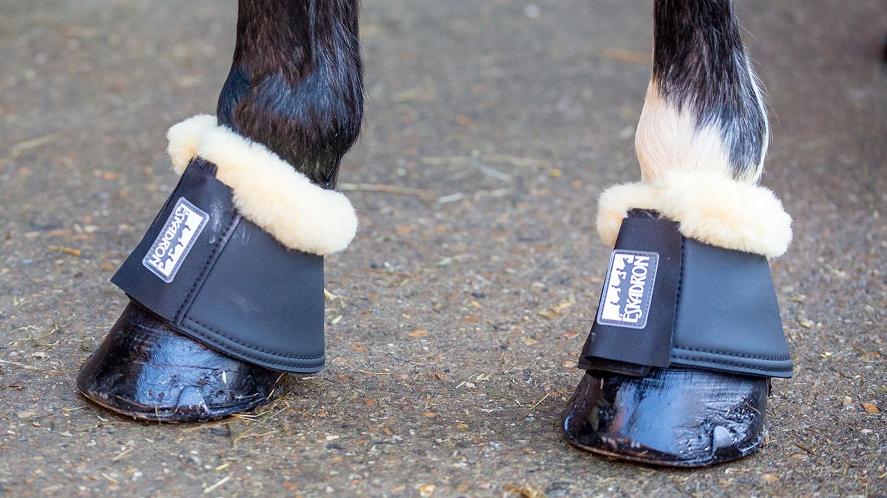 Eskadron synthetic leather overreach boots review