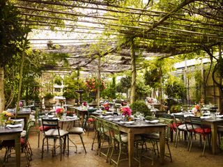 Petersham Nurseries cafe with tables and plant canopy ceiling