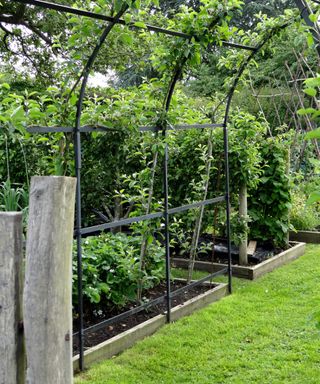 how to build a raised garden bed with metal tunnel arch above