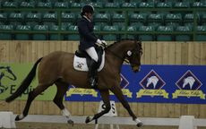 jane-and-jools-cropped-at-winter-champs-2016-cr-hoof-prints