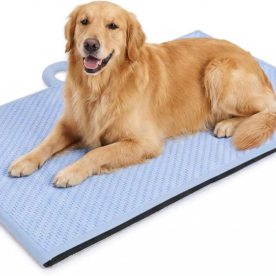 pet cooling mat with Golden Retreiver