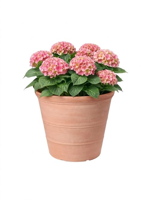 Rustic Terracotta-effect Recycled Plastic Garden Planter