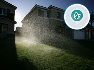 Water the lawn