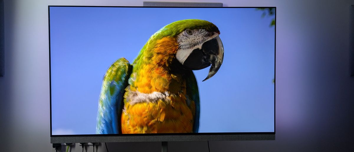 Philips OLED+959 hero image with parrot on screen 