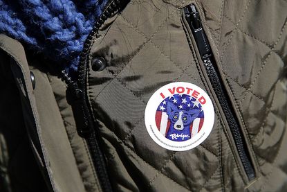 Survey of 49 states finds virtually no voter fraud