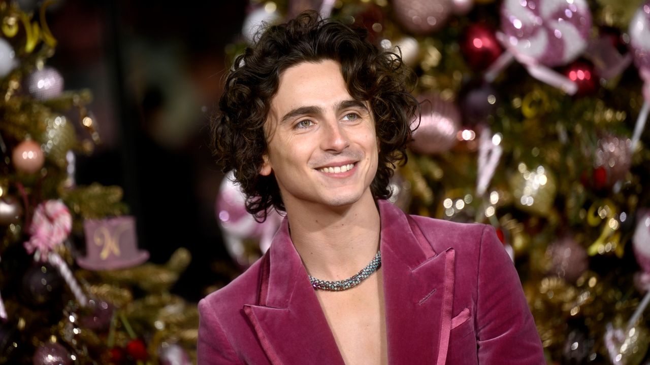 Timothée Chalamet in Cartier&#039;s custom Candy Necklace for &quot;Wonka&quot; Premiere