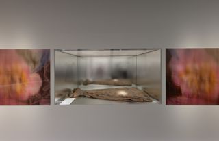 Gallery view of The Met’s Sleeping Beauties Reawakening Fashion, featuring a dress in a vitrine with blurred pictures of flowers on either side
