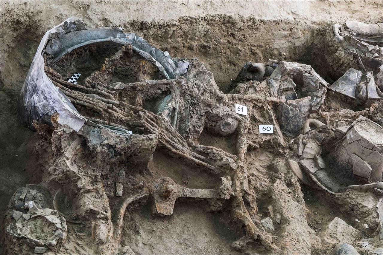 A bronze bucket (known as a situla), a bundle of iron skewers and pieces of the chariot wheels.