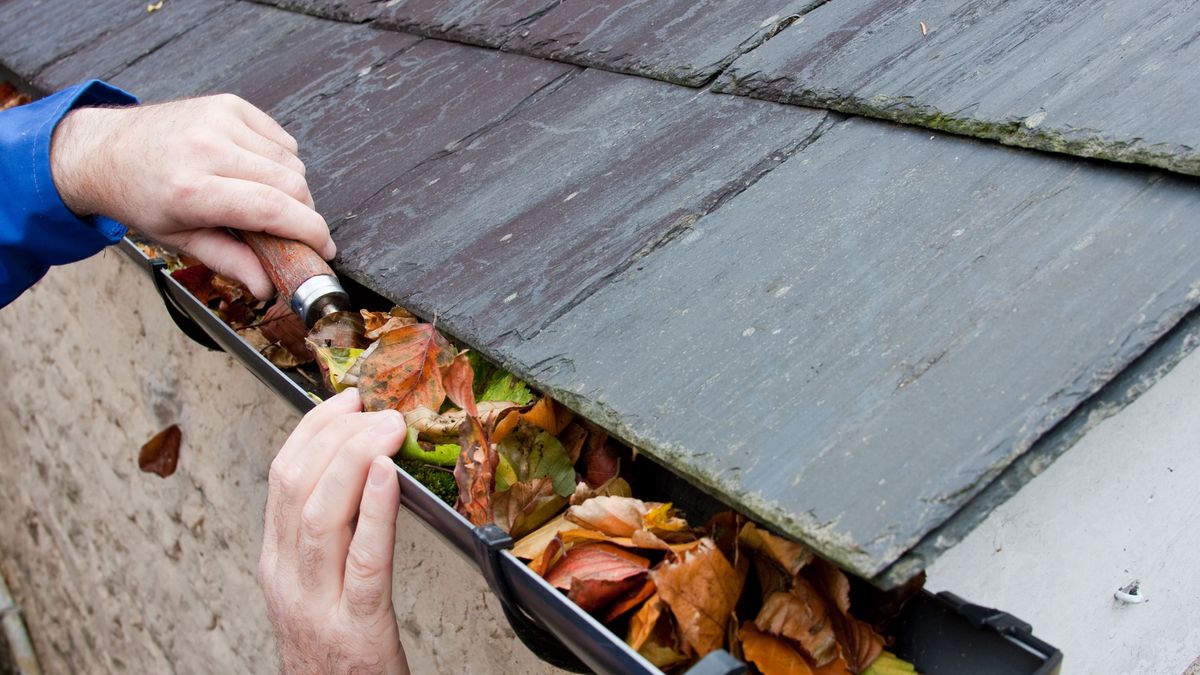 How Much To Have Gutters Cleaned Out