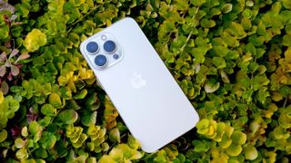 iPhone 13 Pro laying on a bed of plants