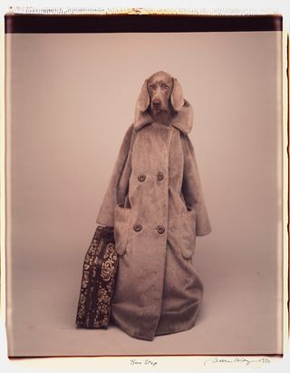 A dog wearing a long coat and holding a suitcase