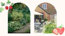 Framed images of gardens with raspberry and strawberry illustrations to support Monty Don's advice on the raspberry and strawberry sides of the garden