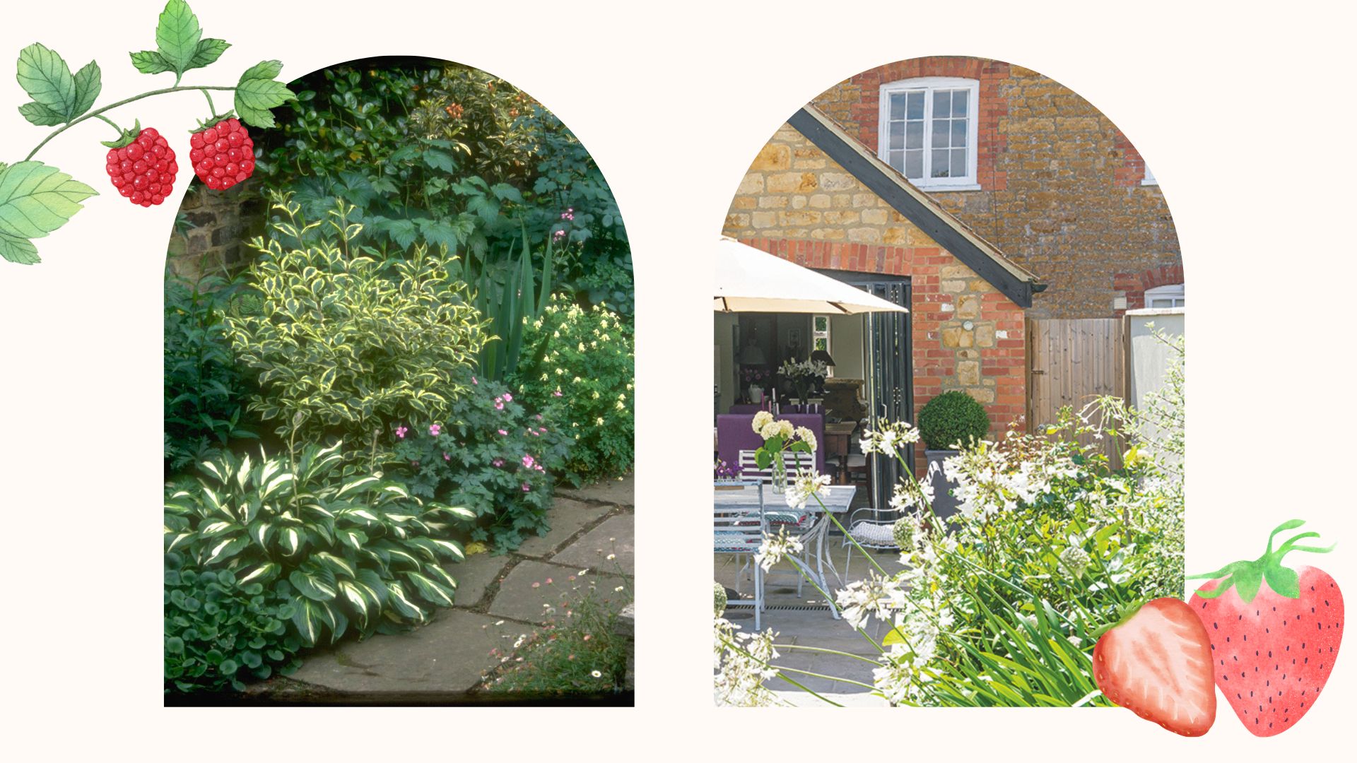 Framed images of gardens with raspberry and strawberry illustrations to support Monty Don's advice on the raspberry and strawberry sides of the garden