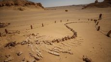 Fossil of a whale is seen at Wadi El-Hitan (Valley of the Whales), which was designated a UNESCO World Heritage Site in 2005 for its hundreds of fossils of some of the earliest forms of whale after first fossil skeletons of whales were discovered in 1903 and has been turned an open-air museum, in Faiyum, Egypt on August 29, 2023.