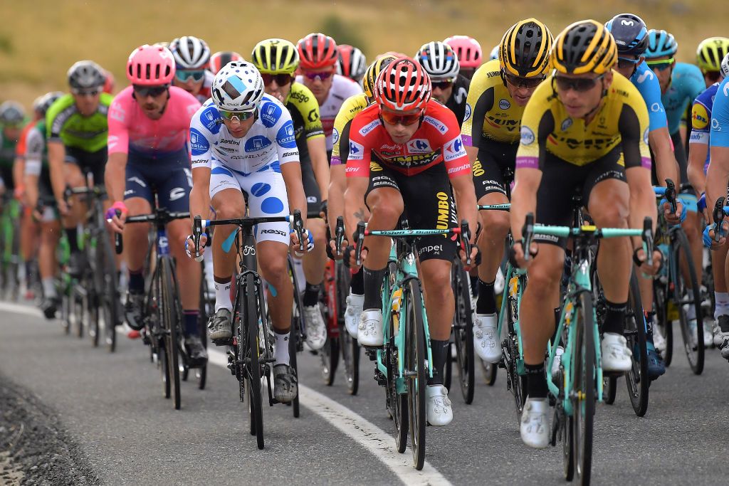 Geoffrey Bouchard (AG2R La Mondiale) and Primoz Roglic (Jumbo-Visma) ride in the peloton