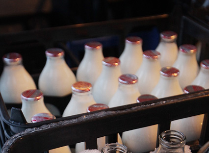 milk