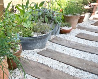 wooden decking board and pebble path with flowers growing in containers next to the path