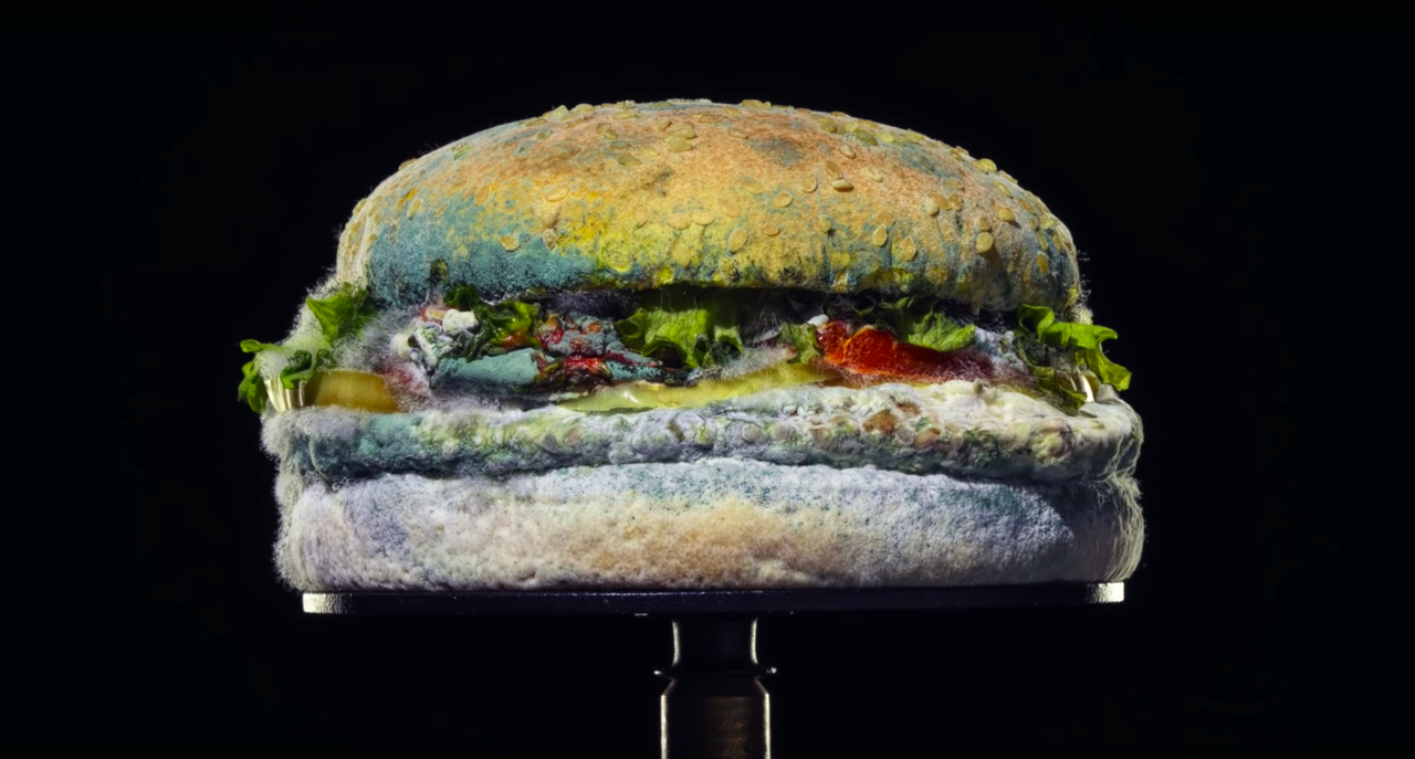 The Moldy Whopper