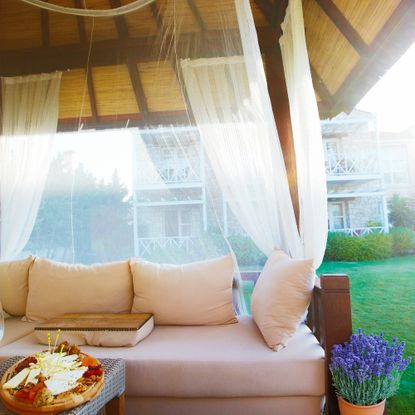 Gazebo with mosquito net