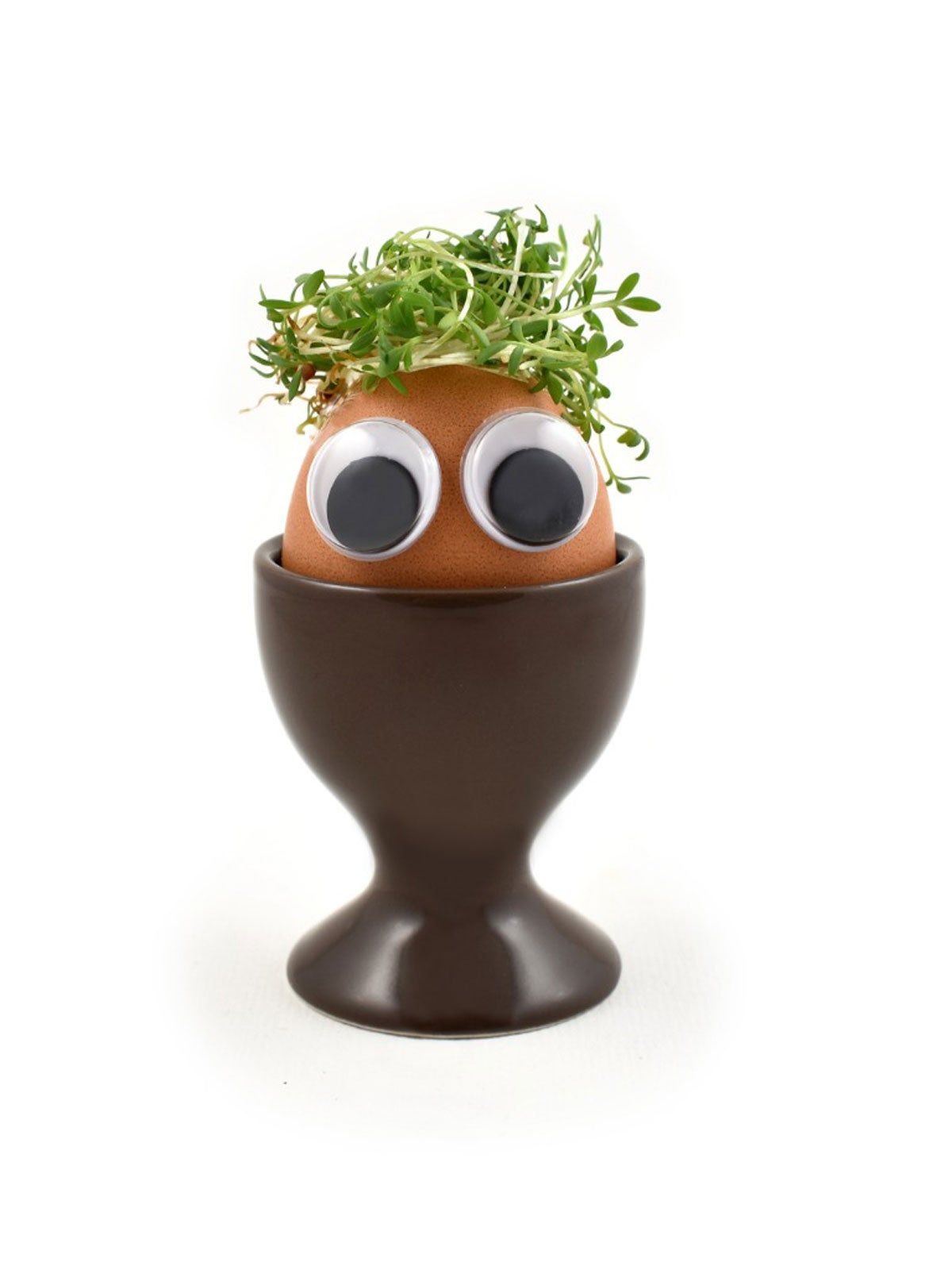 How to Grow Your Own Cress Egg Heads