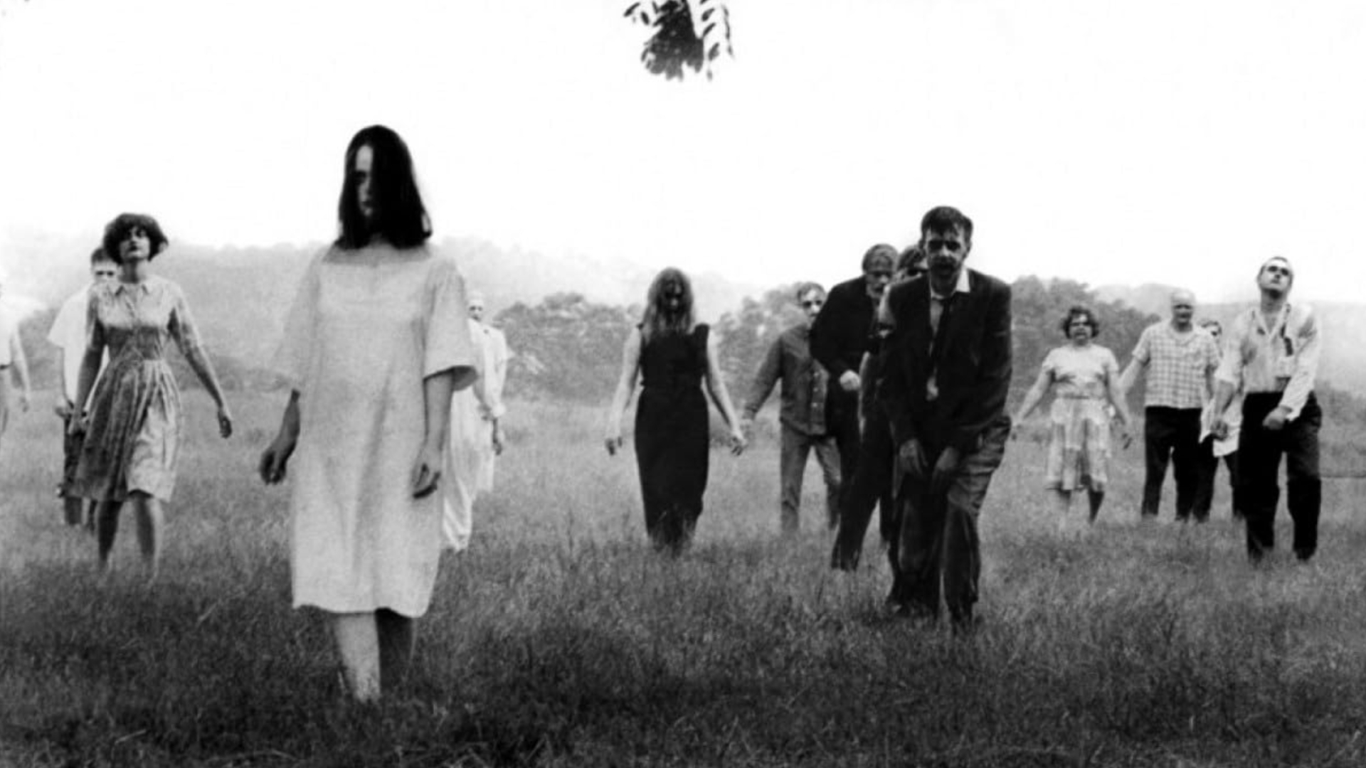 A small hoard of zombies are walking towards the camera on some overgrown grass