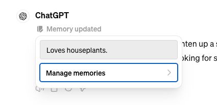 ChatGPT Plus Memory